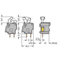 WAGO 257-862 Veerkrachtklemblok 2.50 mm² Aantal polen 1 Grijs 300 stuk(s)