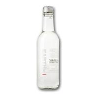 Earth Water koolzuurhoudend glas (24x 33cl)