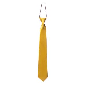 Carnaval verkleed accessoires stropdas zijdeglans - goud - polyester - heren/dames