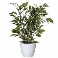 Groen/witte ficus kunstplant 40 cm met plantenpot glanzend wit D13.5 en H12.5 cm - thumbnail