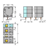 WAGO 739-205 Veerkrachtklemblok 2.50 mm² Aantal polen 5 Grijs 120 stuk(s) - thumbnail