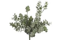 Eucalyptus groen - Countryfield