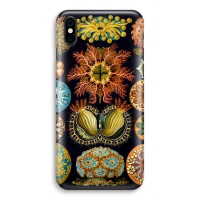 Haeckel Ascidiae: iPhone X Volledig Geprint Hoesje