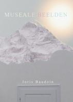 Museale Beelden (Paperback)