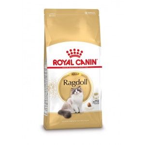 Royal Canin Ragdoll Adult droogvoer voor kat Volwassene 2 kg