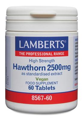 Lamberts Crataegus 2500mg (hawthorn)