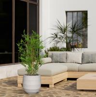 Japanse Bamboe kunstboom 90cm - UV bestendig Japanse Bamboe kunstboom 90cm - UV bestendig