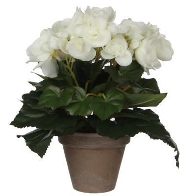 Mica Decoration Kunstplant - begonia - wit - in pot - 25 cm - nepplanten