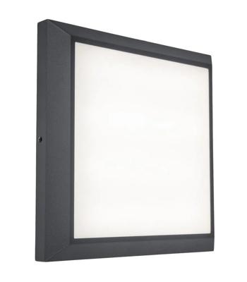 Plafondlamp vierkant buiten &apos;Helena&apos; helder wit 4000k 220mm