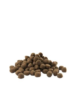 Versele-Laga Adult Active All Breeds 12,5 kg Volwassen