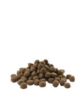 Versele-Laga Adult Active All Breeds 12,5 kg Volwassen - thumbnail