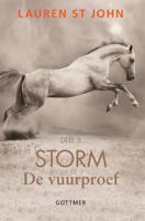 De vuurproef (Paperback) De vuurproef (Paperback)
