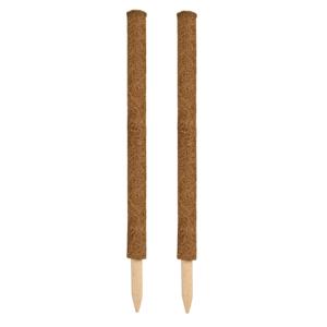 Nature Plantstok - 2x - 60 cm - kokos - plantensteun/plantstok