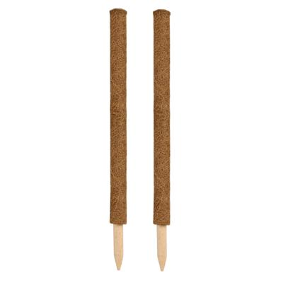 Nature Plantstok - 2x - 60 cm - kokos - plantensteun/plantstok