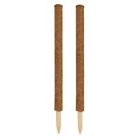 Nature Plantstok - 2x - 60 cm - kokos - plantensteun/plantstok