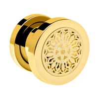 Tunnel Verguld chirurgisch staal 316L Tunnels & Plugs