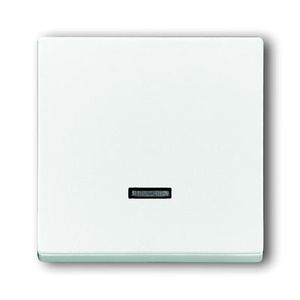 Busch-Jaeger bedieningselement 6543-84-101 studiowit glanzend