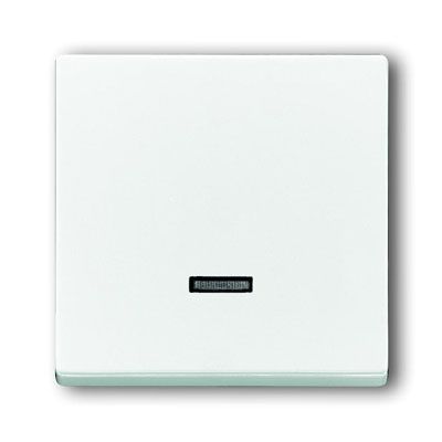 Busch-Jaeger bedieningselement 6543-84-101 studiowit glanzend