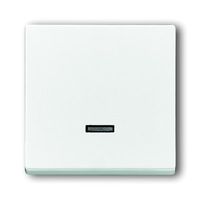 Busch-Jaeger bedieningselement 6543-84-101 studiowit glanzend