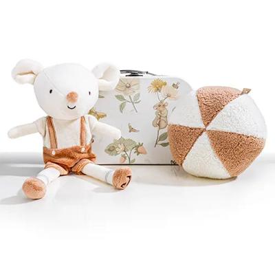 'Geboorte Cadeaupakket 'Dreamy Mouse' Jongen' kopen? | FOR YOU GIFTS