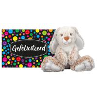 Pluche knuffel cadeau Konijn 25 cm met A5-size Gefeliciteerd wenskaart