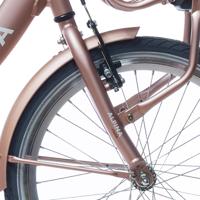 Alpina voorvork 22 clubb rose gold matt