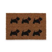 Deurmat Versa PVC Kokosvezel 40 x 2 x 60 cm Hond