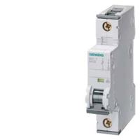 Siemens 5SY61066 5SY6106-6 Zekeringautomaat 6 A 230 V, 400 V