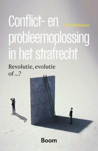 Conflict- en probleemoplossing in het strafrecht - M.J. Dubelaar - ebook