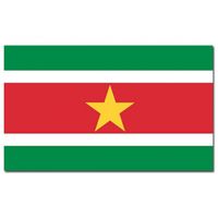 Gevelvlag/vlaggenmast vlag Suriname 90 x 150 cm   - - thumbnail
