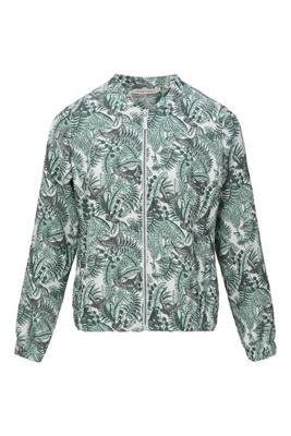 Dreamstar Jack Z26 104 Andrea