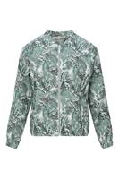 Dreamstar Jack Z26 104 Andrea