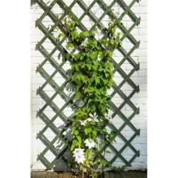 Nature Garden Trellis 50 x 150 cm Hout Groen