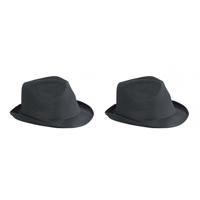 Trilby feesthoedje voor volwassenen - 2x stuks - zwart - Carnaval party verkleed hoeden