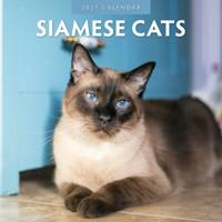 Siamees Kalender 2027