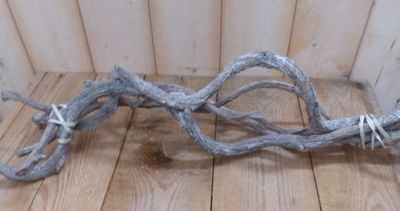 Set Krulhout Wit 40-60 cm Warentuin Natuurlijk - Warentuin mix