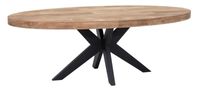 DTP Home Ovale Eettafel 'Darwin' Teakhout, 220 x 105cm
