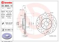 Brembo Remschijven 09.8903.1X