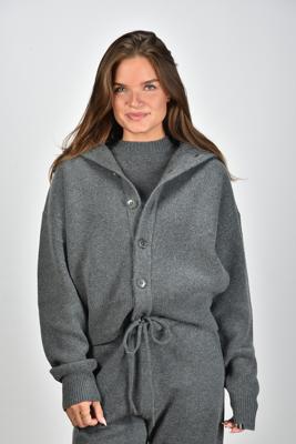 Extreme Cashmere vest Clement 377 felt