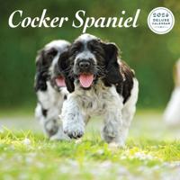 Engelse Cocker Spaniel Kalender 2026 Deluxe