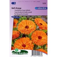 Calendula Officinalis zaden Balls Orange goudsbloem