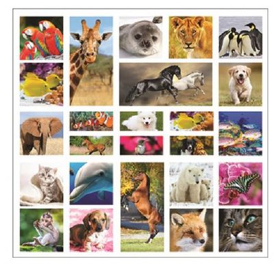 W&O stickervel 3D Dieren 20 x 19,5 cm papier 25 stuks