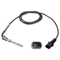 Uitlaatgastemperatuursensor 100852