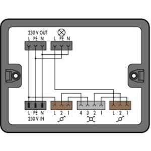 WAGO 899-631/305-000 Verdeeldoos 899 25 A Zwart 1 stuk(s)