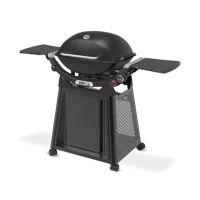 Gasbarbecue q 3200n