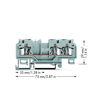 WAGO 880-681/999-940 Doorgangsklem 5 mm Spanveer Toewijzing: L Grijs 100 stuk(s)