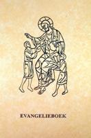 Evangelieboek voor vieringen met kinderen (Paperback)