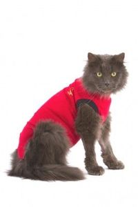 Medical Pet Shirt Kat Rood S