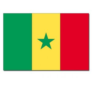 Landen thema vlag Senegal 90 x 150 cm feestversiering