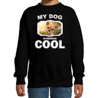 Chihuahua honden trui / sweater my dog is serious cool zwart voor kinderen - thumbnail